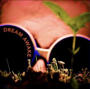 CaliberSands - Dream Awake