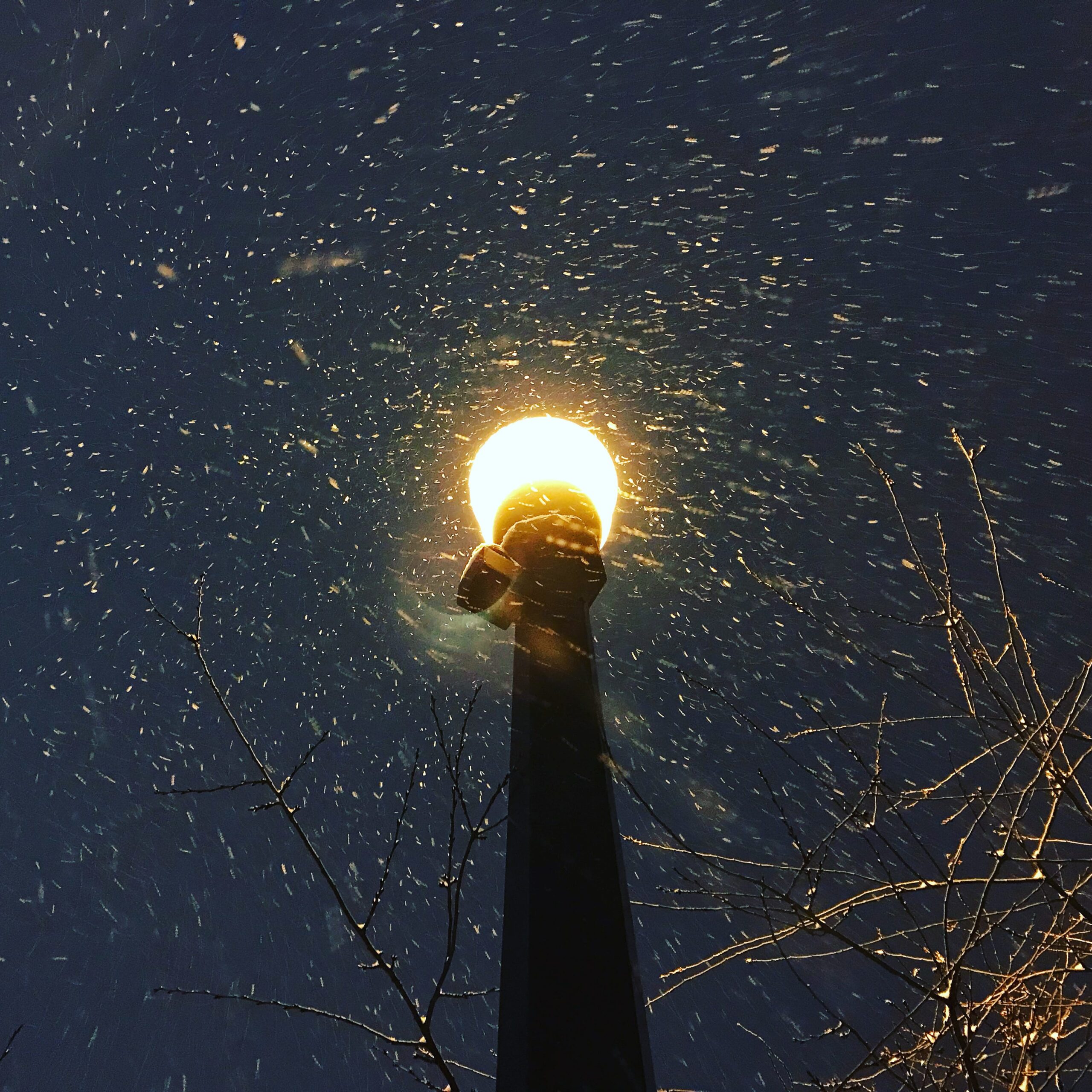 Winter In The City