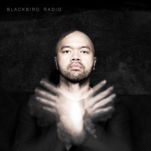 Blackbird Radio - Brand New You