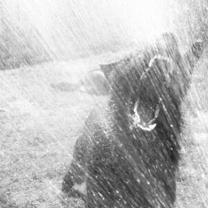 Rivers in Violet - Training Dogs To Fight